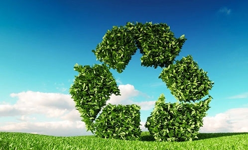 環保纖維——保護環境的選擇